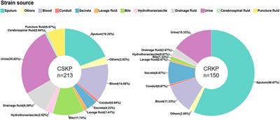 Differences in molecular characteristics and expression of virulence genes in carbapenem-resistant and sensitive Klebsiella pneumoniae isolates in Ningbo, China